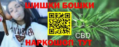 ПСИЛОЦИБИНОВЫЕ ГРИБЫ Заволжье