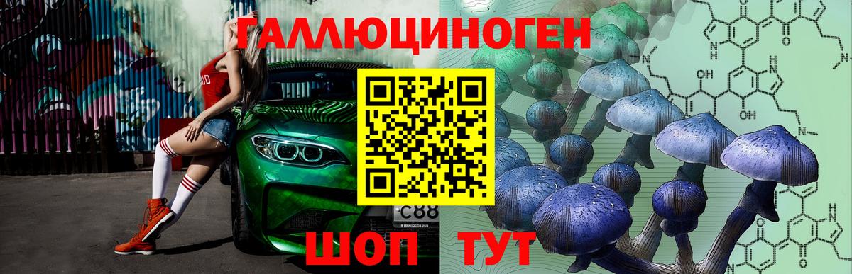 Галлюциногенные грибы MAGIC MUSHROOMS  Вход с VPN  где можно купить   Галлюциногенные грибы Psilocybine cubensis  Менделеевск 